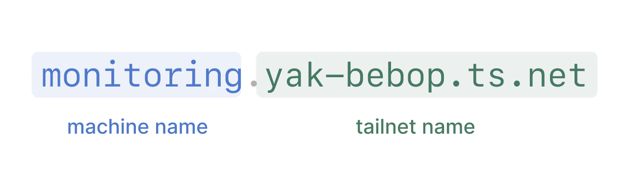 Tailscale MagicDNS